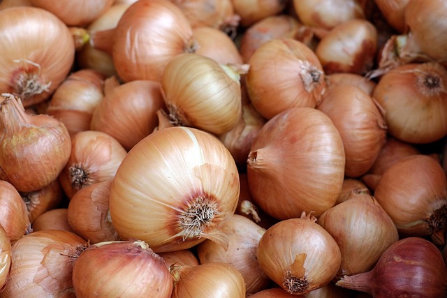 A conversation about the benefits of onions